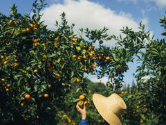 -滨江森林公园-真人CS野战场