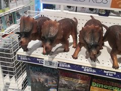 -TOYSRUS玩具反斗城(上海万象城店)