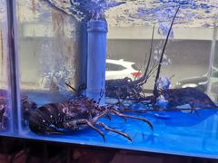 -小龍鳳·港式海鲜打边炉(沙湖路店)
