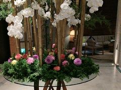 -浅深Cheersum(曹杨店)