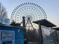 -万泉公园