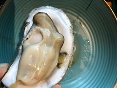 -海食焗(新光天地店)