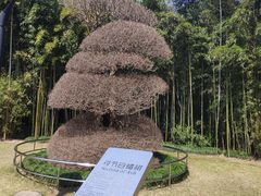 -苏州河梦清园环保主题公园