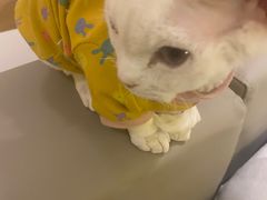 -猫腻·猫咖·撸猫馆(星光大道店)