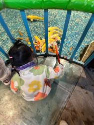 -酷嗒动物文化乐园(cutezoo西溪乐天城店)