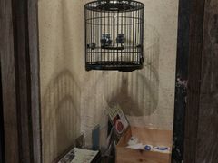 -兰溪小馆(东直门簋街店)