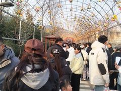 -安徽禾泉小镇