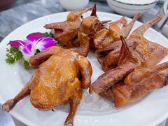 -鸽鸟轩(石岐店)