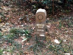 -梧桐山风景名胜区