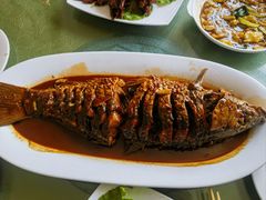 -金台阶鱼馆(于桥水库店)