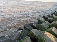 -南汇嘴观海公园