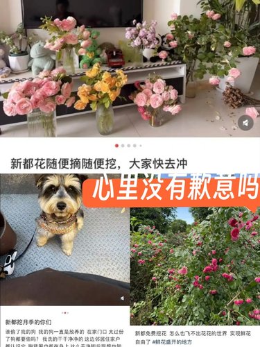 一传十十传百，良心真的不会痛吗❓