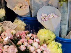 -循礼门鲜花花市(武汉循礼门店)