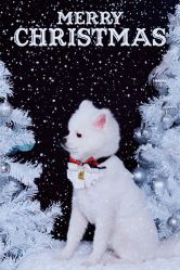 -后宫·古装汉服京剧儿童亲子全家福摄影