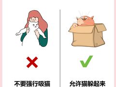 -翊宠yipet猫狗购宠庄园犬舍•猫舍