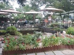 -蘇河湾·新鲁菜·泰山宴(泰山店)