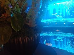 -唐宫足道·SPA·住宿24H会所(木渎店)