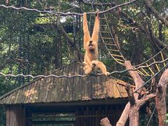 -广州长隆野生动物世界