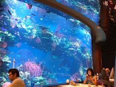 -迪拜帆船酒店海底餐厅