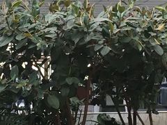 -沈阳师范大学-图书馆