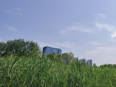 -西海子公园