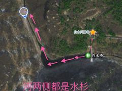 -白水寺森林公园