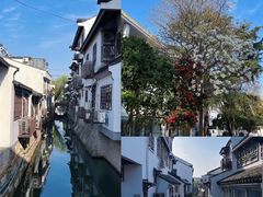 -沈记青团