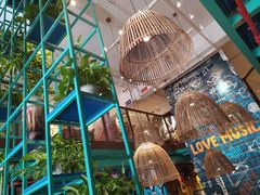 -浩源美食·椰子鸡