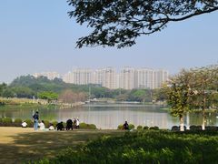 -东莞植物园