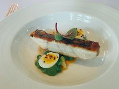 香煎海鲈鱼-蝶舍·MAISON PAPILLON