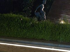 -星光大道