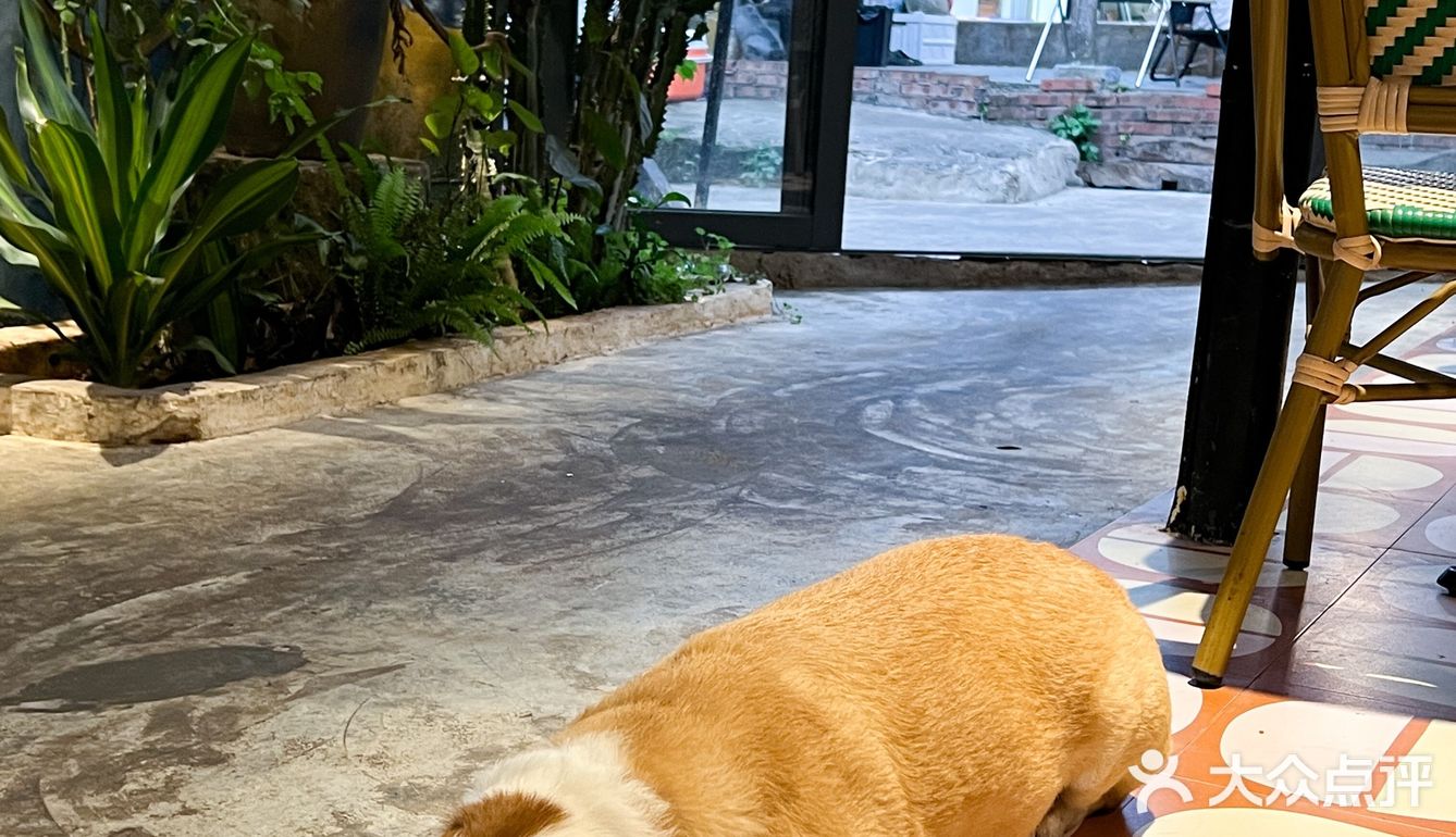 涠洲岛美食不仅仅只有海鲜哇！