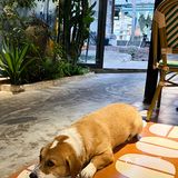 涠洲岛美食不仅仅只有海鲜哇！