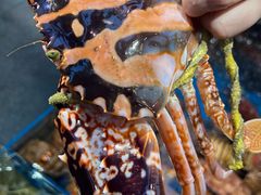 -吴记富苑(朝阳店)