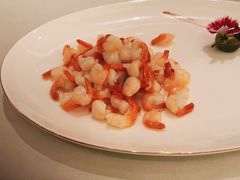 -蝶园·装修中(BFC外滩金融中心店)