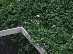 -四川大学(望江校区)