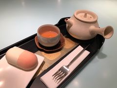 春光乍泄-青山研究所Aoyama Lab