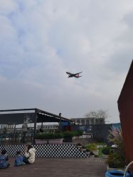 -小蜜蜂农场(凯德七宝购物广场店)