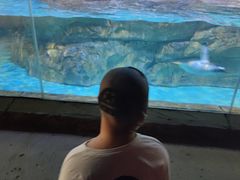 -波塞冬海底世界