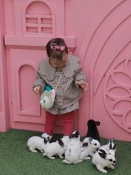 -萌宠亲子动物乐园(槐房万达店)