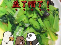 -蓝田印象