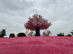 -南通鲜花小镇