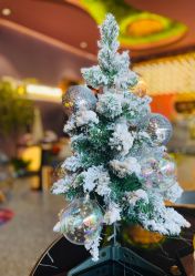 -花隐·美芙炫海菲秀皮肤管理中心