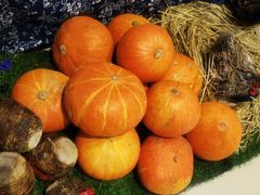 -老阿爸江浙土菜(奥体中心店)