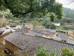 -杨家堂村