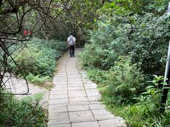 -笔架山食堂