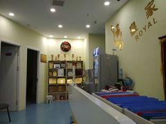 -皇家茱莉亚艺术明星训练基地