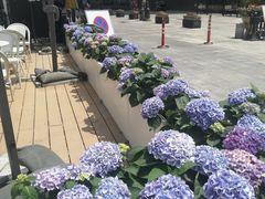 -小白楼1902欧式风情街