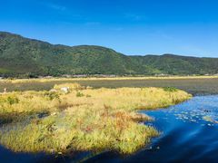 -腾冲北海湿地