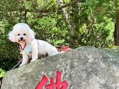-普陀山风景区-佛顶山